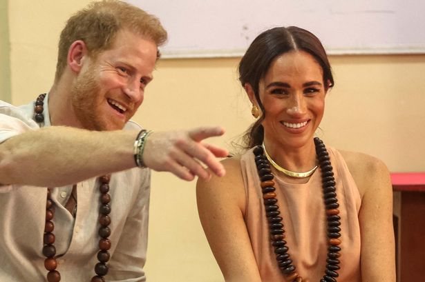 By his own admission, Prince Harry's latest project has given the royal 'goosebumps'